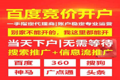 百度品牌专区推广：打造品牌形象的新途径
